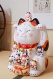 Mèo thất phúc thần Japan 35cm 