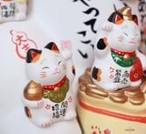  Mèo thất phúc thần Japan 35cm 