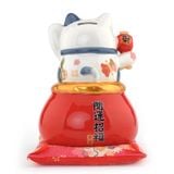  MÈO Ú DARUMA   SB3013 