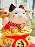  Mèo hũ vàng 7891 