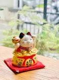  Mèo hũ vàng 7891 