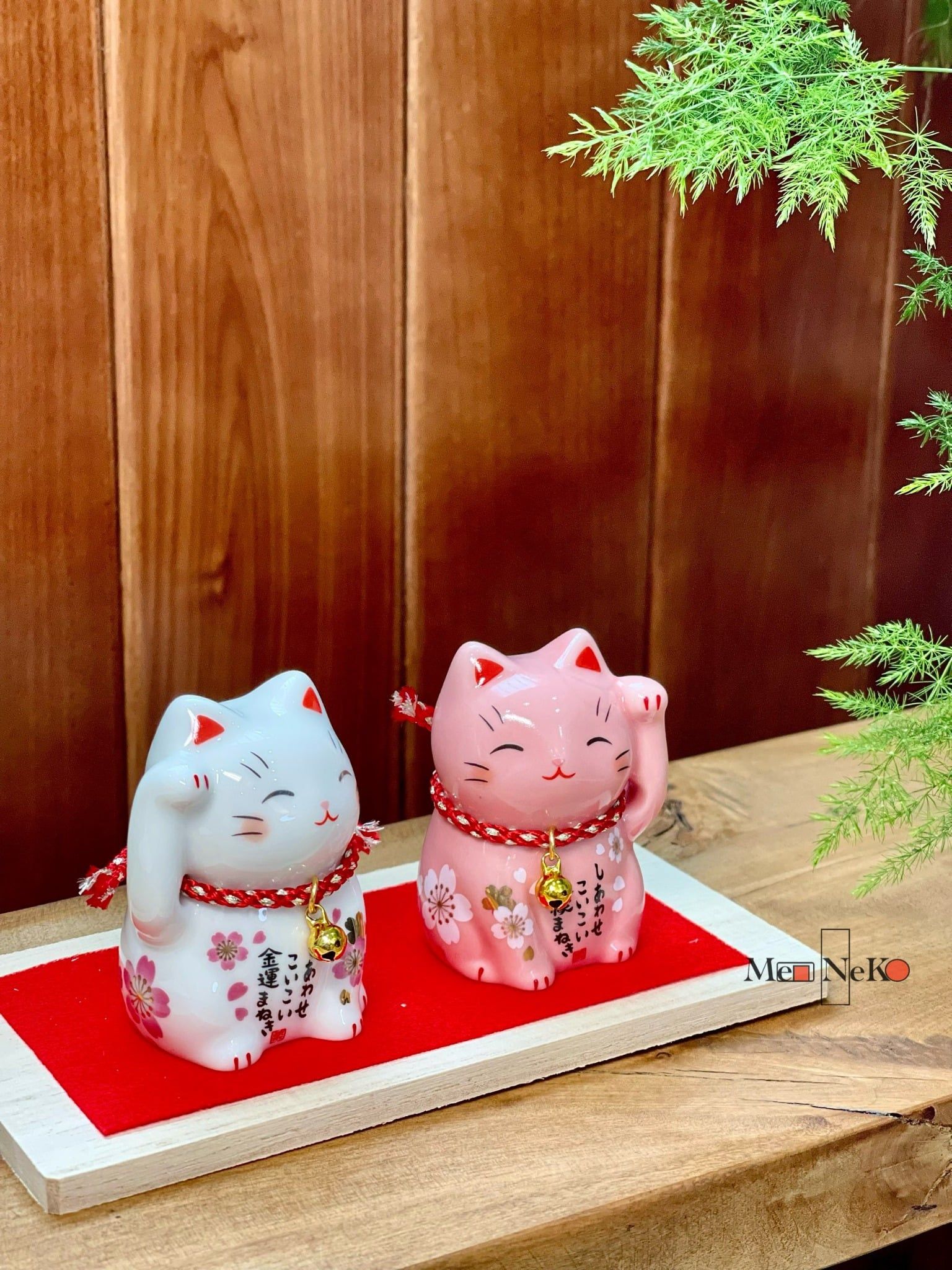  Đôi mèo hoa anh đào 