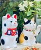 Mèo may mắn Nhật Bản