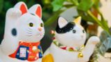  Mèo may mắn Nhật Bản 