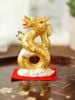 Rồng vàng nhỏ