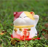  MÈO Ú HOA ĐÀO  SB3108 