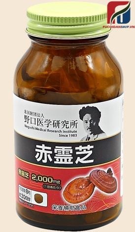 Nấm linh chi đỏ Reishi