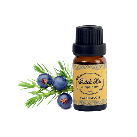 Tinh Dầu Bách Xù - Junipe Berry Essential Oil