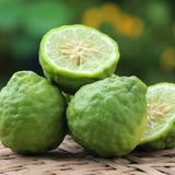 Tinh Dầu Cam Hương - Bergamot Essential Oil - Hoa Thơm Cỏ Lạ