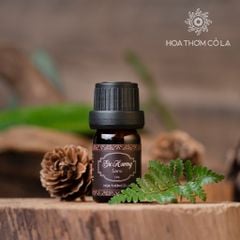 Tinh Dầu Gỗ Gù Hương - Sarsi Essential Oil