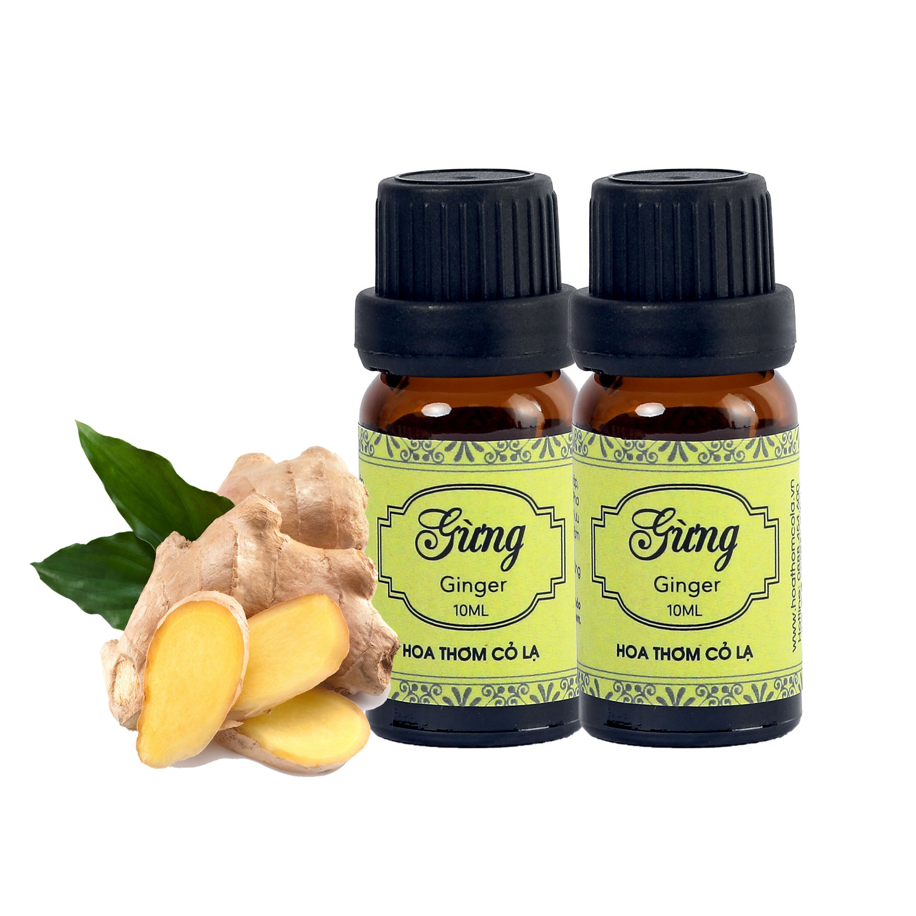 Tinh Dầu Gừng - Ginger Essential Oil – Hoa Thơm Cỏ Lạ