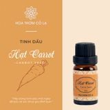 Tinh Dầu Hạt Carrot - Carrot Seed Essential Oil