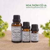 Tinh Dầu Hoa Nhài - Jasmine Essential Oil - Hoa Thơm Cỏ Lạ