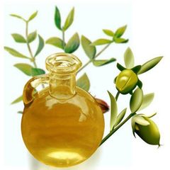 Dầu Jojoba Organic - Jojoba Oil