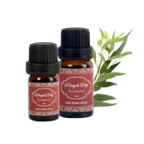 Tinh Dầu Khuynh Diệp - Eucalyptus Essential Oil Hoa Thơm Cỏ Lạ