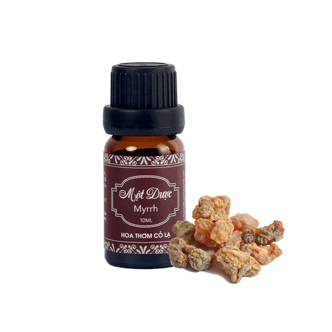 Tinh Dầu Một Dược - Myrrh Essential Oil - Hoa Thơm Cỏ Lạ