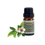 Tinh Dầu Nhựa Copaiba - Copaiba Balsam Essential Oil - Hoa Thơm Cỏ Lạ