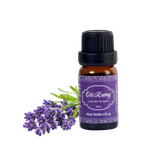 Tinh Dầu Oải hương Bulgaria - Lavender Bulgaria Essential Oil - Hoa Thơm Cỏ Lạ