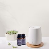 Tinh Dầu Oải Hương Pháp - Lavandin France Essential Oil