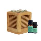 Tinh Dầu Thiên Niên Kiện - Homalomena Essential Oil - Hoa Thơm Cỏ Lạ