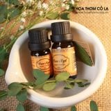 Tinh Dầu Cam Ngọt - Sweet Orange Essential Oil