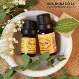 Tinh dầu Cam Quế - Blend Essential Oil - Hoa Thơm Cỏ Lạ