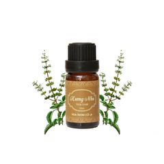 Tinh Dầu Hương Nhu - Holy Basil Essential Oil