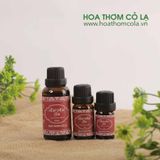 Tinh Dầu Hạt Mùi Già - Coriander Seed Essential Oil - Hoa Thơm Cỏ Lạ