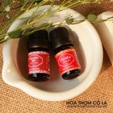 Tinh Dầu Hạt Mùi Già - Coriander Seed Essential Oil - Hoa Thơm Cỏ Lạ