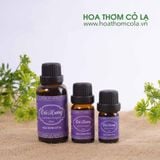 Tinh Dầu Oải hương Bulgaria - Lavender Bulgaria Essential Oil - Hoa Thơm Cỏ Lạ