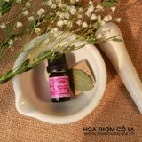 Tinh Dầu Phong Lữ - Geranium Essential Oil - Hoa Thơm Cỏ Lạ