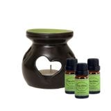 Tinh Dầu Trầu Không - Piper Betle Essential Oil - Hoa Thơm Cỏ Lạ