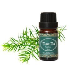 Tinh Dầu Tràm Trà - Tea Tree Essential Oil