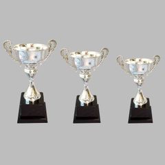 CUP kim loại 1021 ABC
