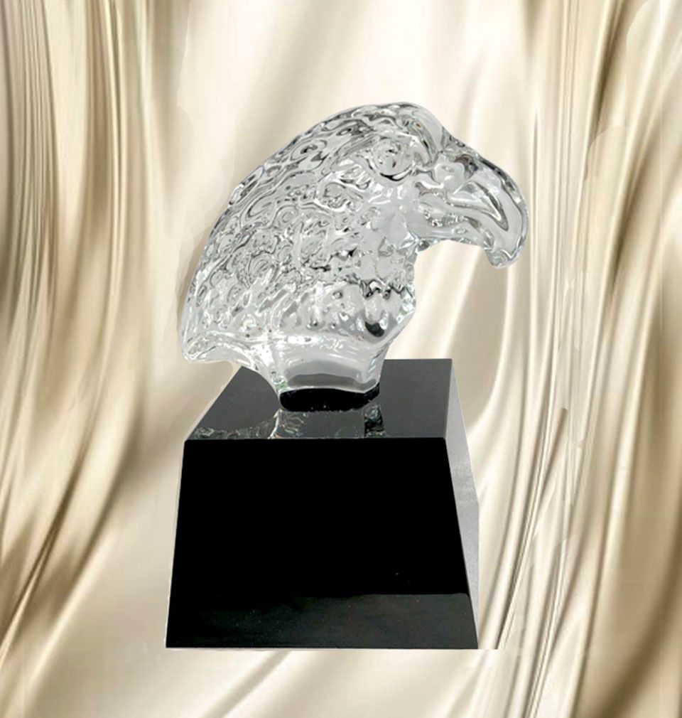 Kỉ niệm chương DNC