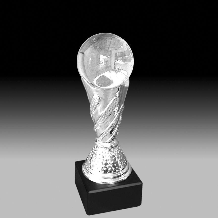 Cúp Champion Soccer Bạc