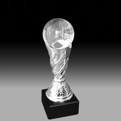 Cúp Champion Soccer Bạc