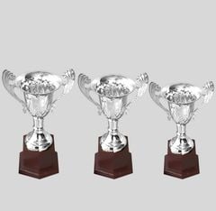 CUP kim loại màu bạc 901 ABC