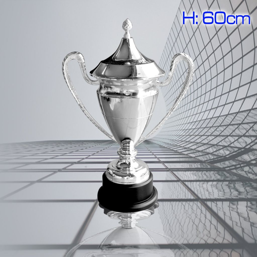 Cúp BigSilver Champion