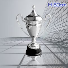 Cúp BigSilver Champion