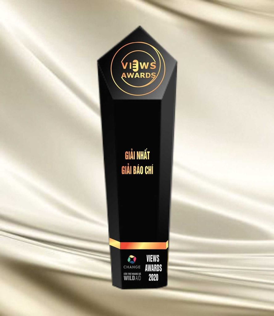 Gải Thưởng triển vọng - prospect of awards