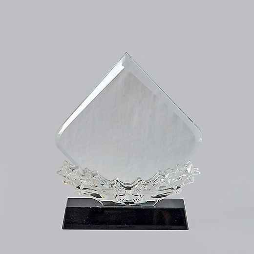 Kỷ niệm chương Tri Ân