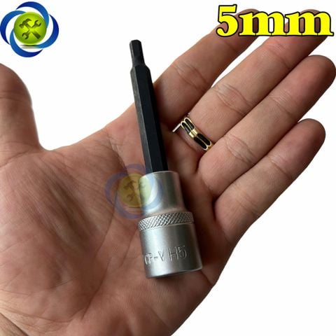 Đầu tuýp 1/2 ra đầu lục giác dài 100mm WADFOW WSC52XX các size (4-17mm)