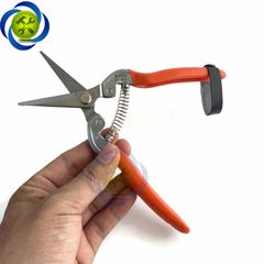 Kéo cắt cành Buddy BD024 195mm mũi nhọn thẳng