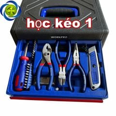 Bộ dụng cụ 125 chi tiết Workpro WP209028 hộp nhựa 3 ngăn kéo