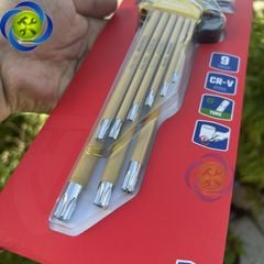 Bộ lục giác đầu sao 9 chi tiết Workpro WP222008 (T10 - T50) - màu vàng