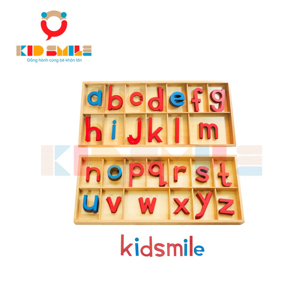 Bộ chữ cái viết thường cỡ lớn - Large Wood Movable Alphabet With Box