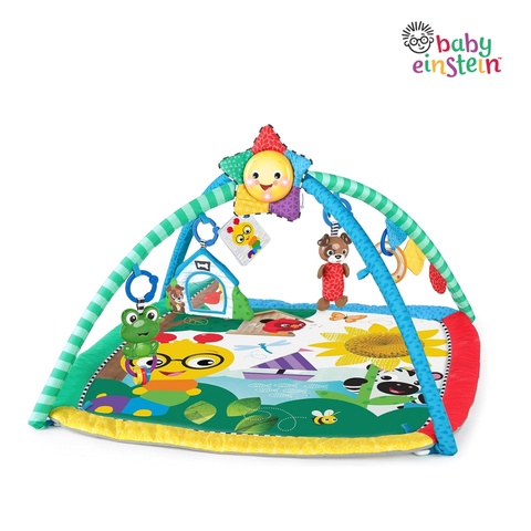  Thảm nắm chơi họa tiết sâu róm Baby Einstein 