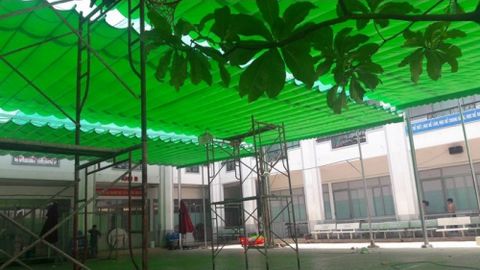 Káº¿t quáº£ hÃ¬nh áº£nh cho mai xep