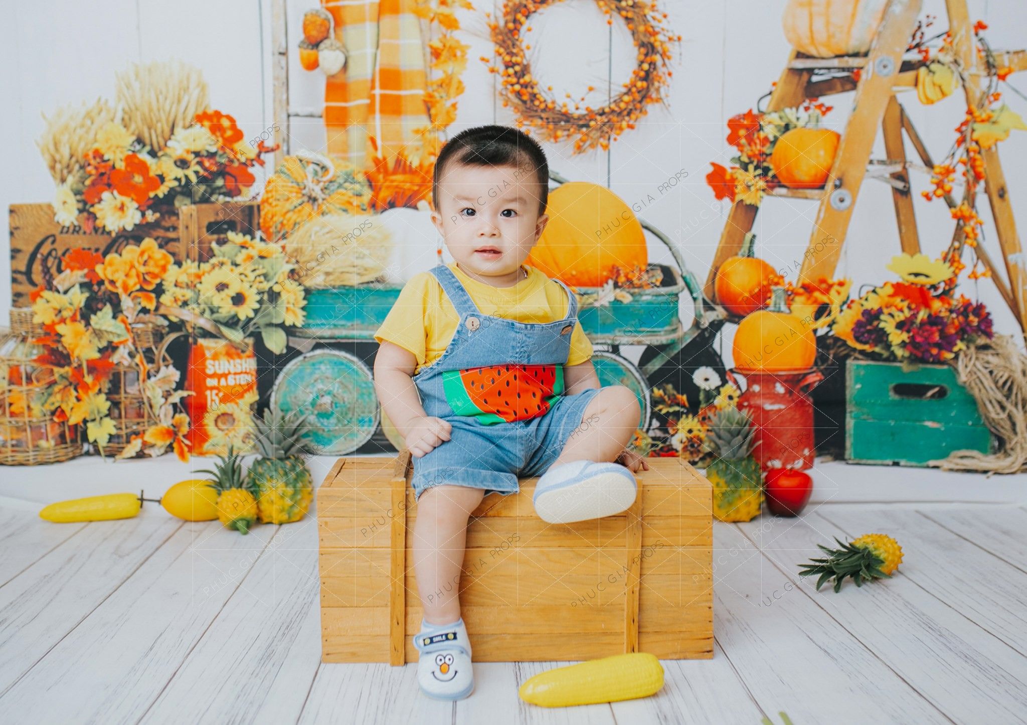  Phông Nền Chụp Hình PG17 